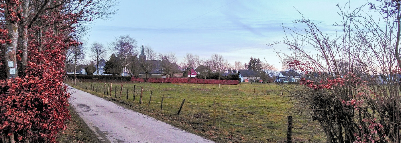 Bild4.jpg